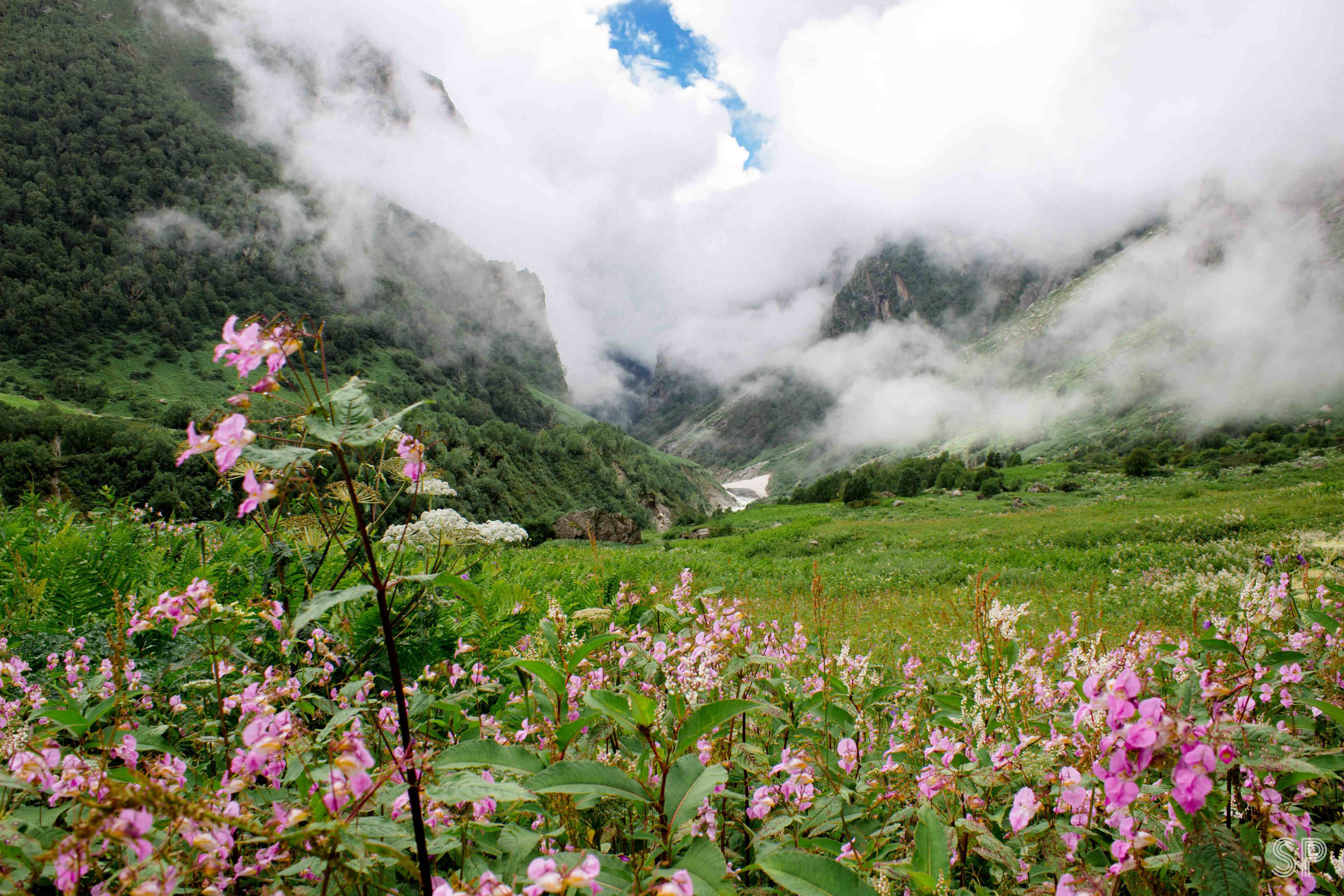 Valley of Flowers Trek Part 0 Sentient Pixels