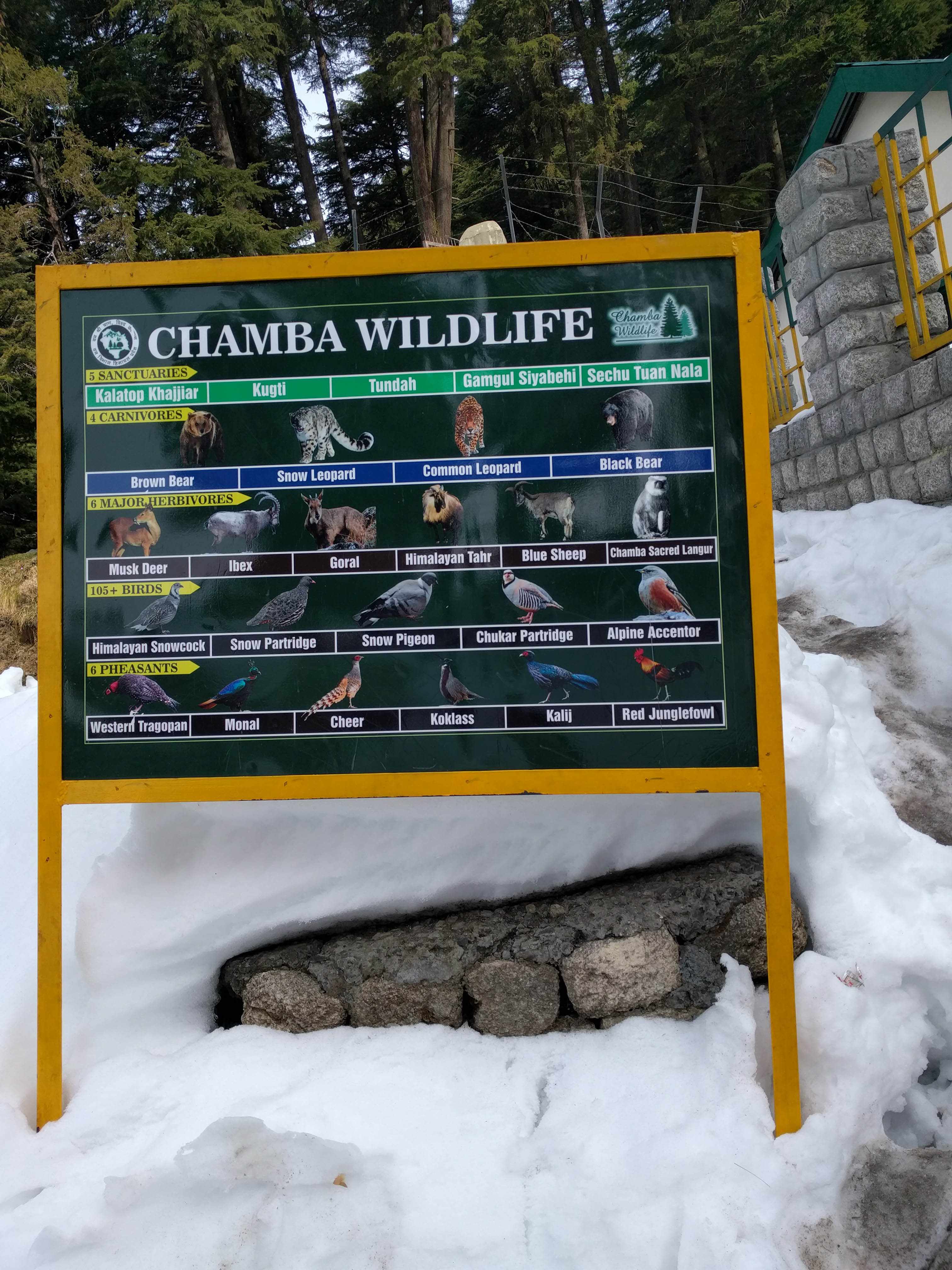 Chamba Himachal Pradesh Wildlife