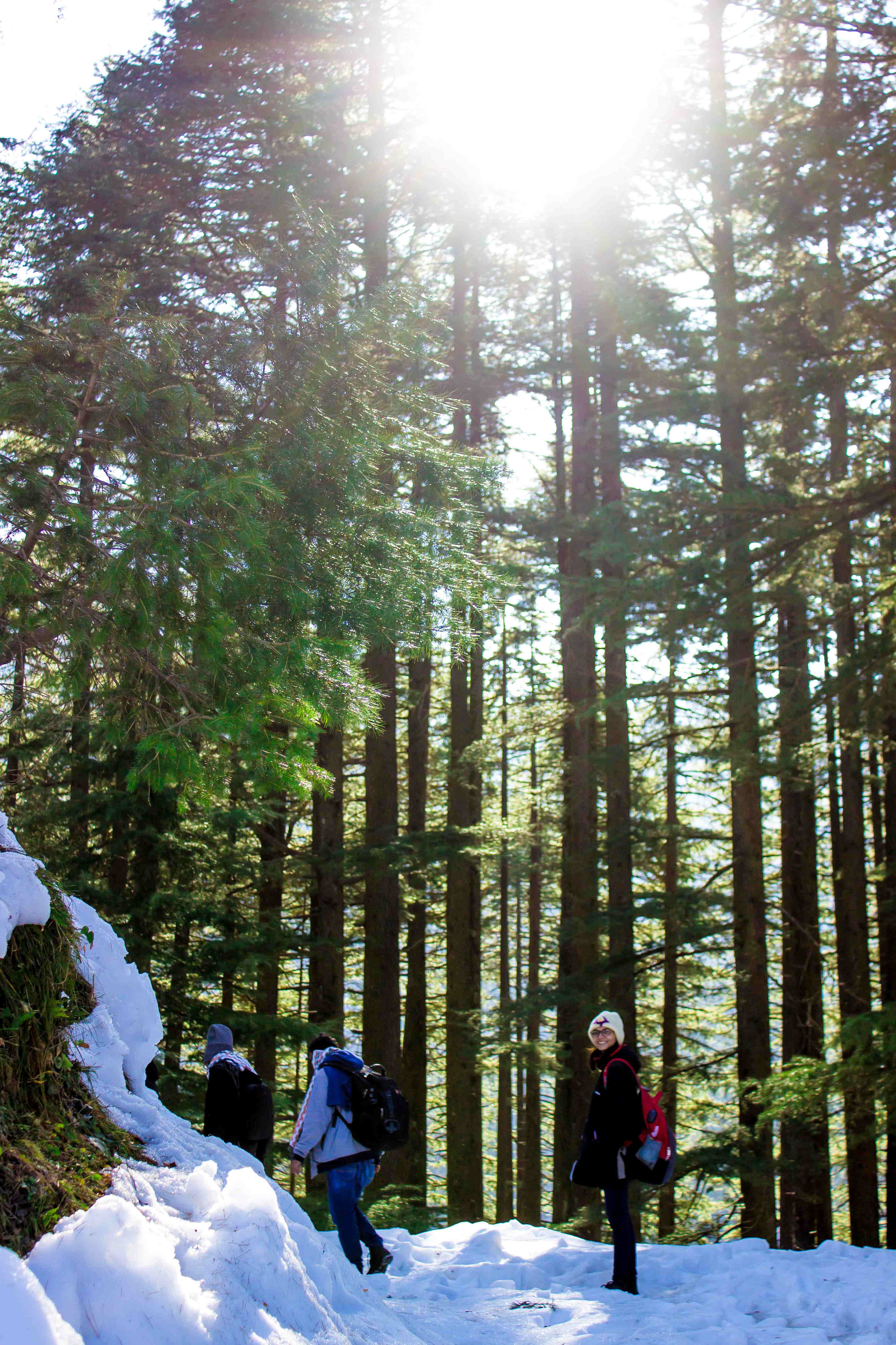 Dainkund Peak Trek