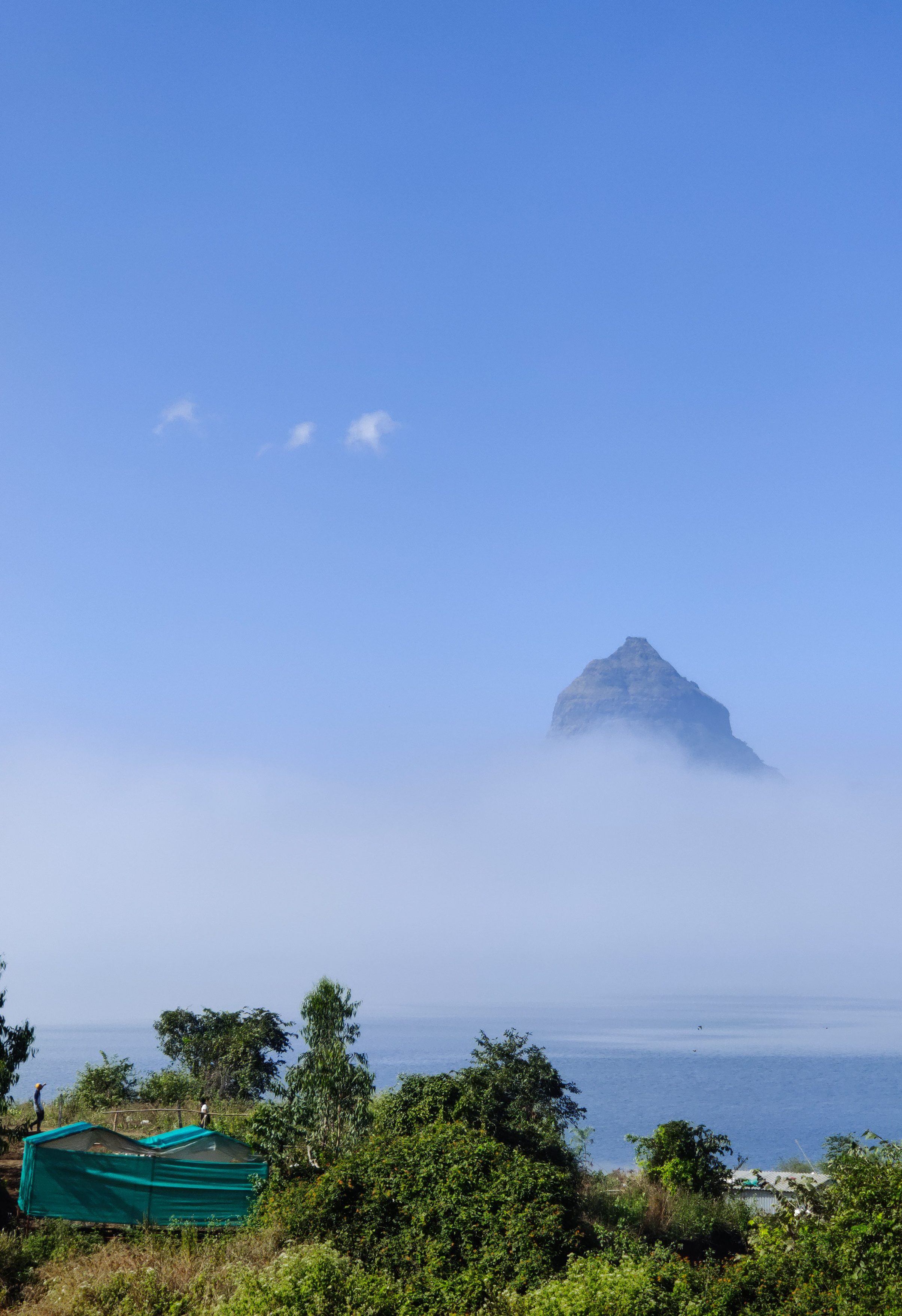 Fog at Pawna Lake